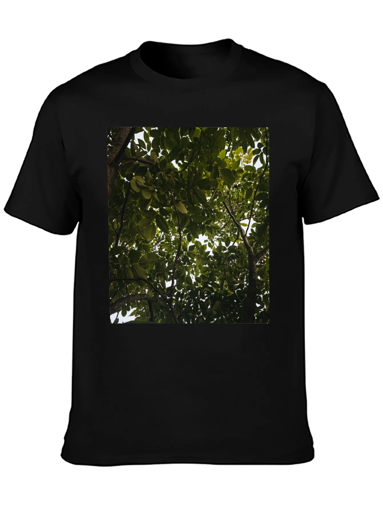 Arboreal View Graphic Tee - Nature Inspired