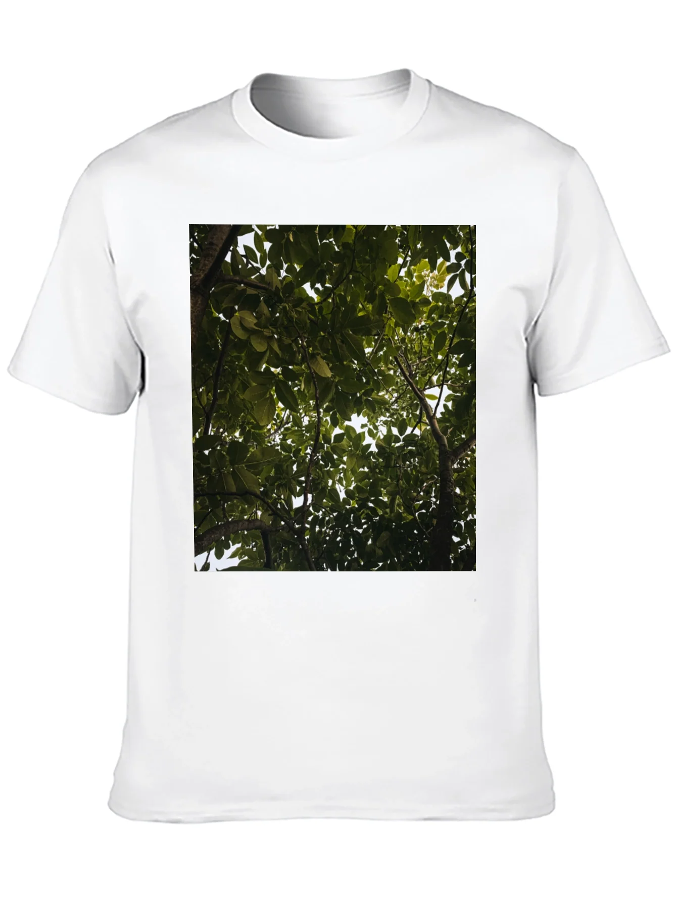 Arboreal View Graphic Tee - Nature Inspired