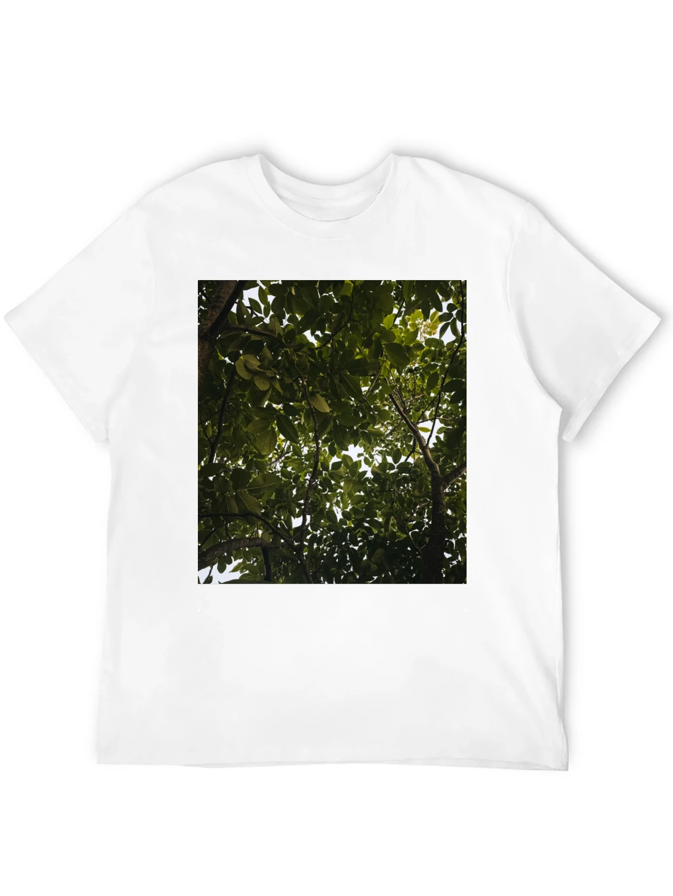 Arboreal View Graphic Tee - Nature Inspired