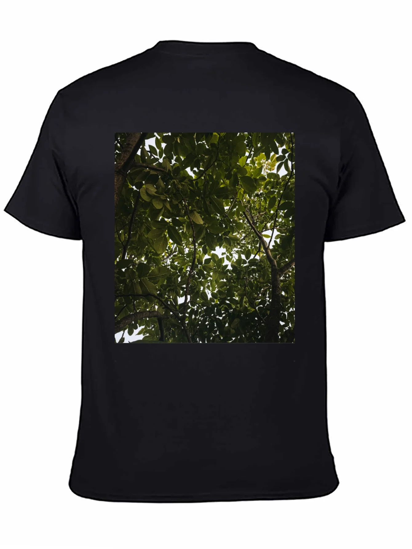 Arboreal View Graphic Tee - Nature Inspired