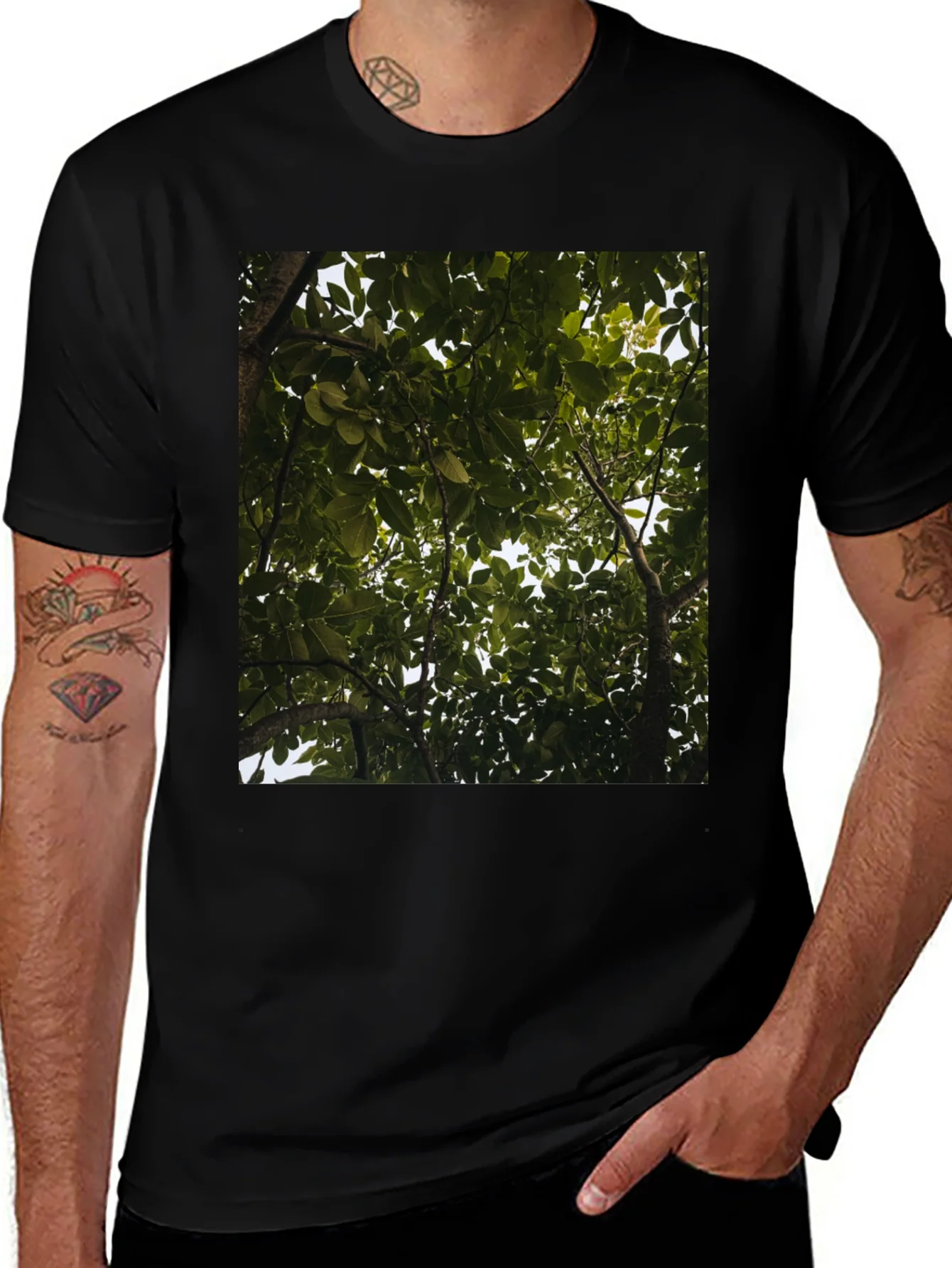 Arboreal View Graphic Tee - Nature Inspired